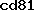 cd81